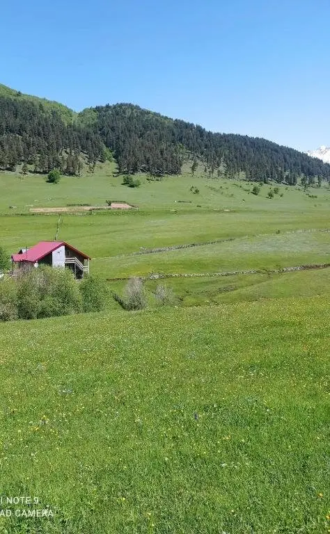 Местиа: Lia's Guest house Tsvirmi