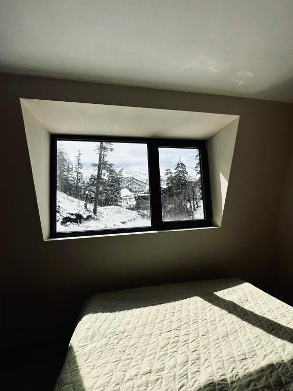 Бакуриани: Window development apartment #32