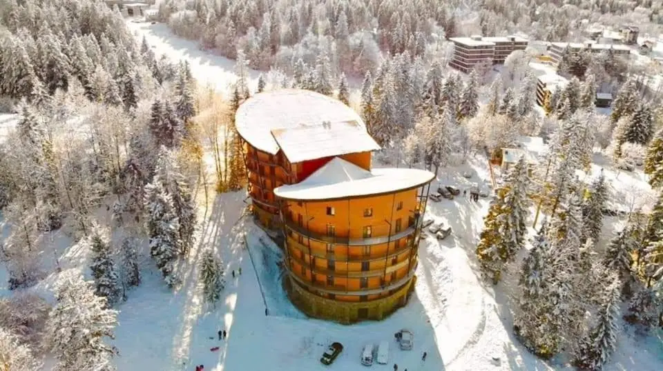 Бакуриани: The House in the Forest apartment