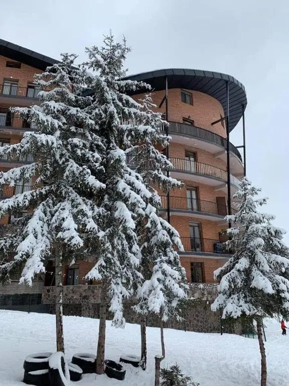 Бакуриани: The House in the Forest apartment