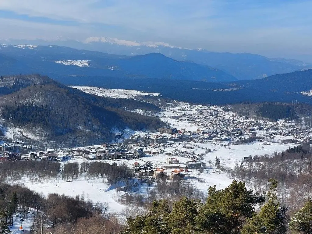 Бакуриани: Didveli TuliP 34- A Comfortable, Quiet Apartment Close to a Ski Slope