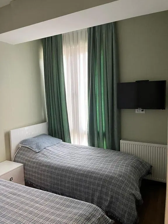 Бакуриани: Villa Deluxe Premium Apartment 308