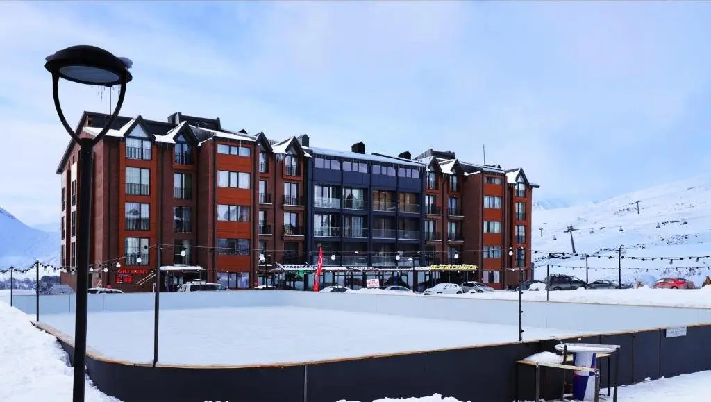 Гудаури: Lovely 1BR Apartment in Gudauri