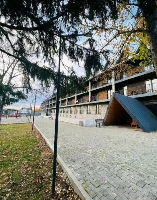 Бакуриани: 2 bedroom vacation apartment at Panorama Mgzavrebi
