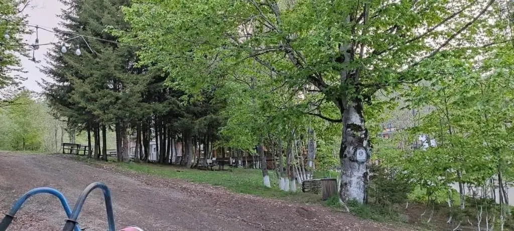 Бакуриани: Bakuriani Didveli residence E-30