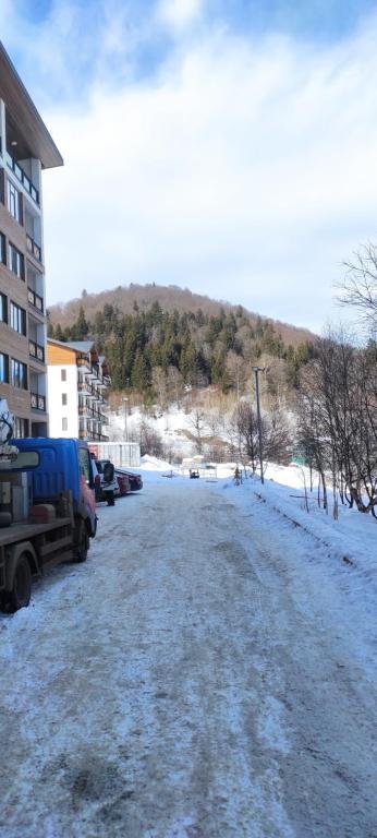 Бакуриани: Bakuriani Didveli residence E-30