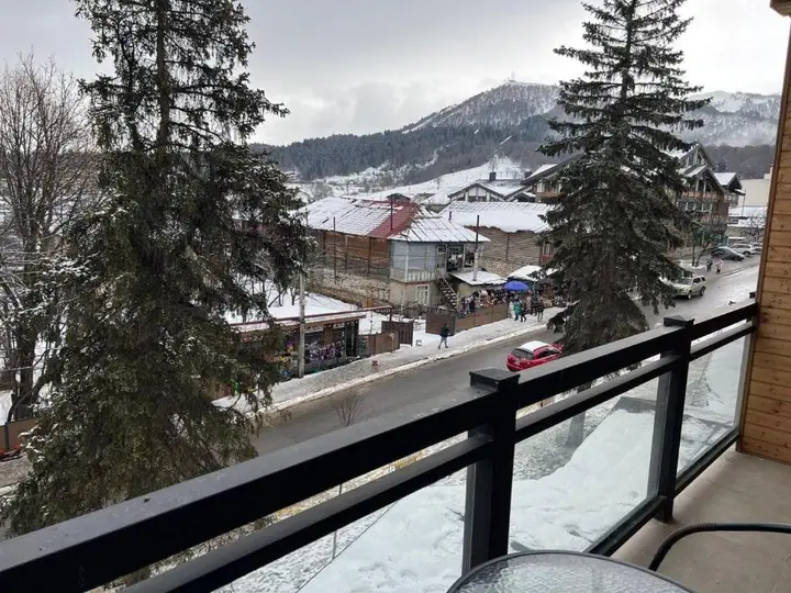 Бакуриани: Apartment in hotel Tbilisi, Bakuriani 32