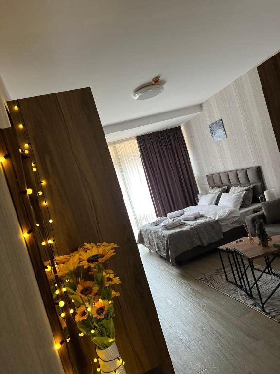 Бакуриани: Didveli Gallery Studio Apartment B-408