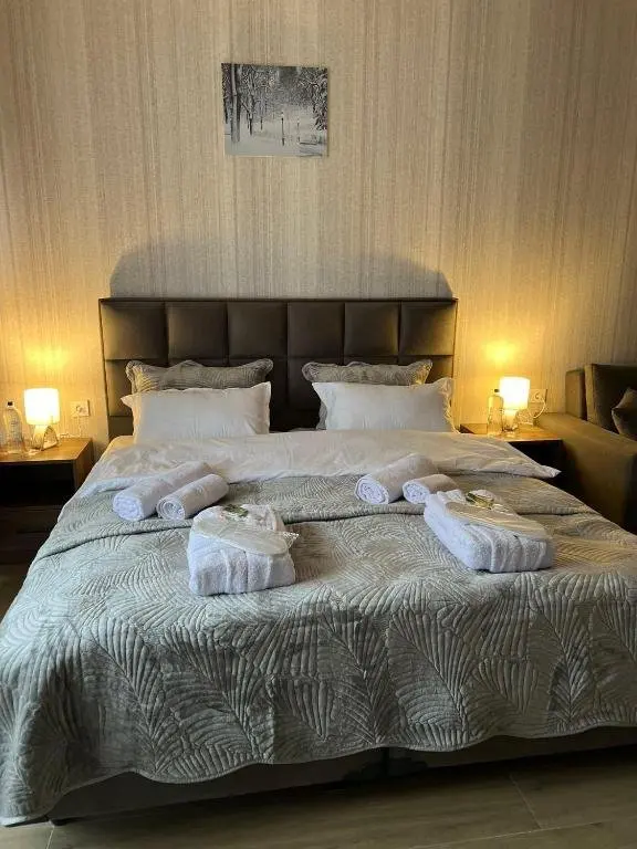 Бакуриани: Didveli Gallery Studio Apartment B-408