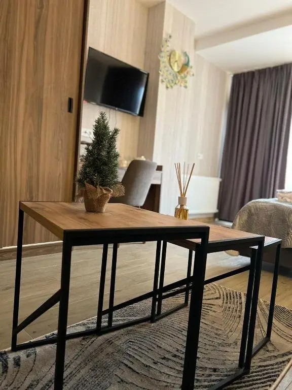 Бакуриани: Didveli Gallery Studio Apartment B-408