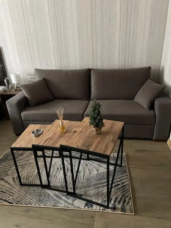 Бакуриани: Didveli Gallery Studio Apartment B-408