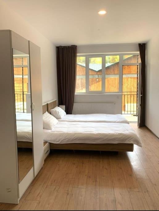 Бакуриани: Cozy Bakuriani tribu 111