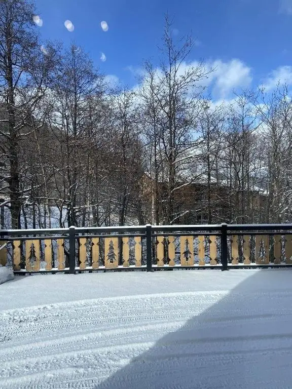 Бакуриани: Bakuriani Didveli Residence H8