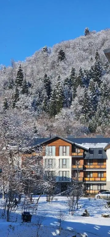 Бакуриани: Eco-Friendly studio near Didveli