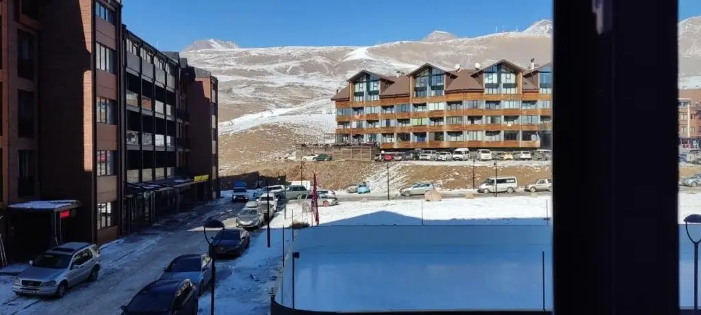 Гудаури: Evdo Apartments F2 Cozy Room