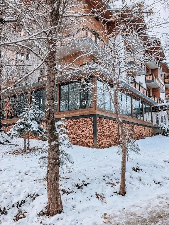 Бакуриани: Bakuriani Didveli Residence A 48