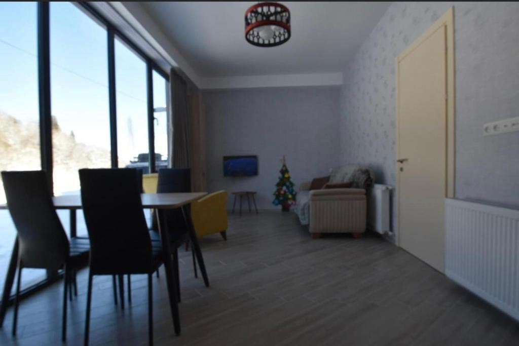 Бакуриани: Bakuriani Didveli Residence C 16