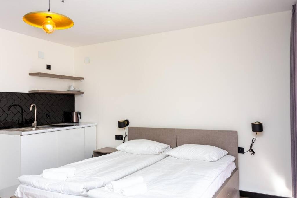 Гудаури: Cozy and Bright Studio Hotel Apartment In Gudauri