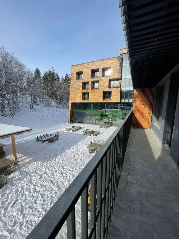 Бакуриани: Bakuriani Kokhta-Mitarbi Apartment 17