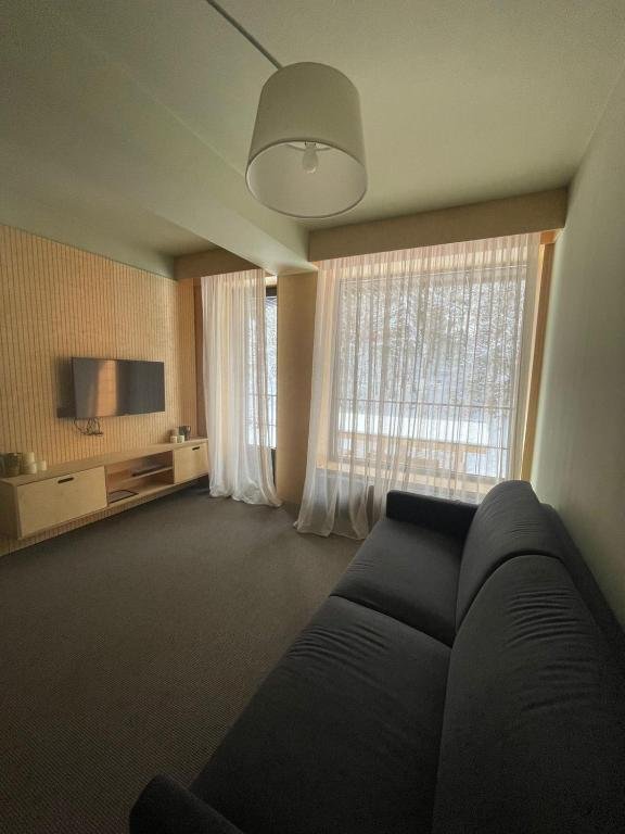 Бакуриани: Bakuriani Kokhta-Mitarbi Apartment 17