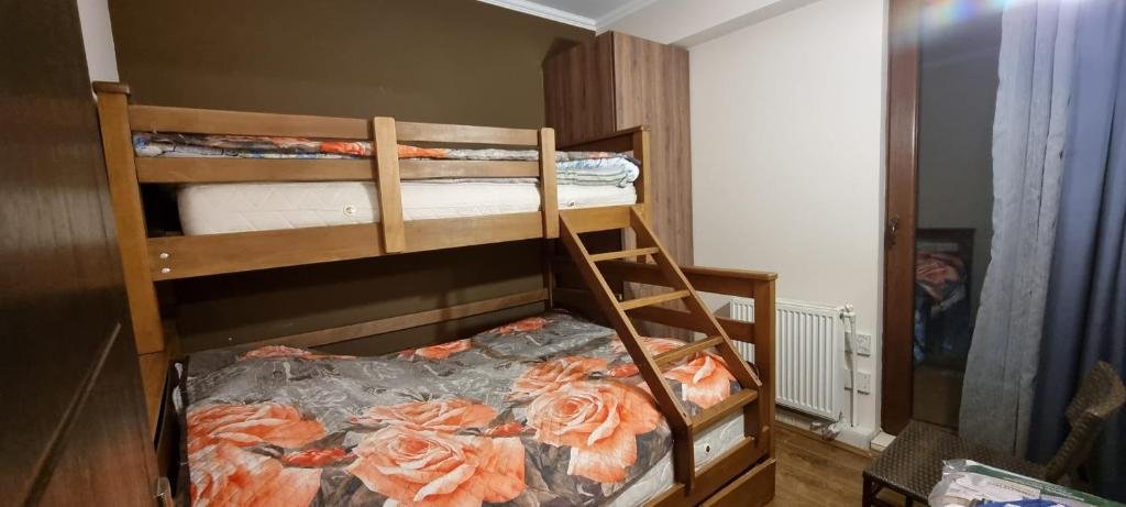 Бакуриани: bakuriani 2 room apr near kokhta ski lift