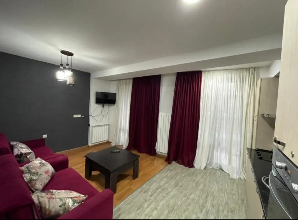 Бакуриани: Area Apartment 24