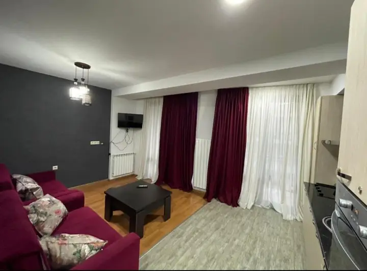 Бакуриани: Area Apartment 24