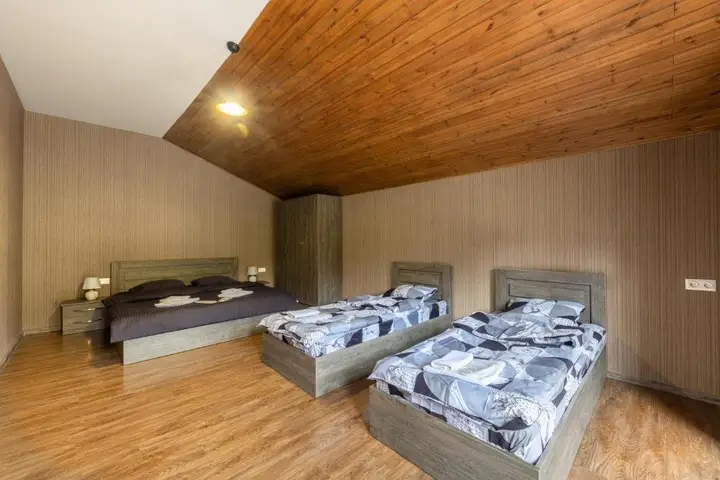 Бакуриани: - Didveli Residence LUX Apartments -