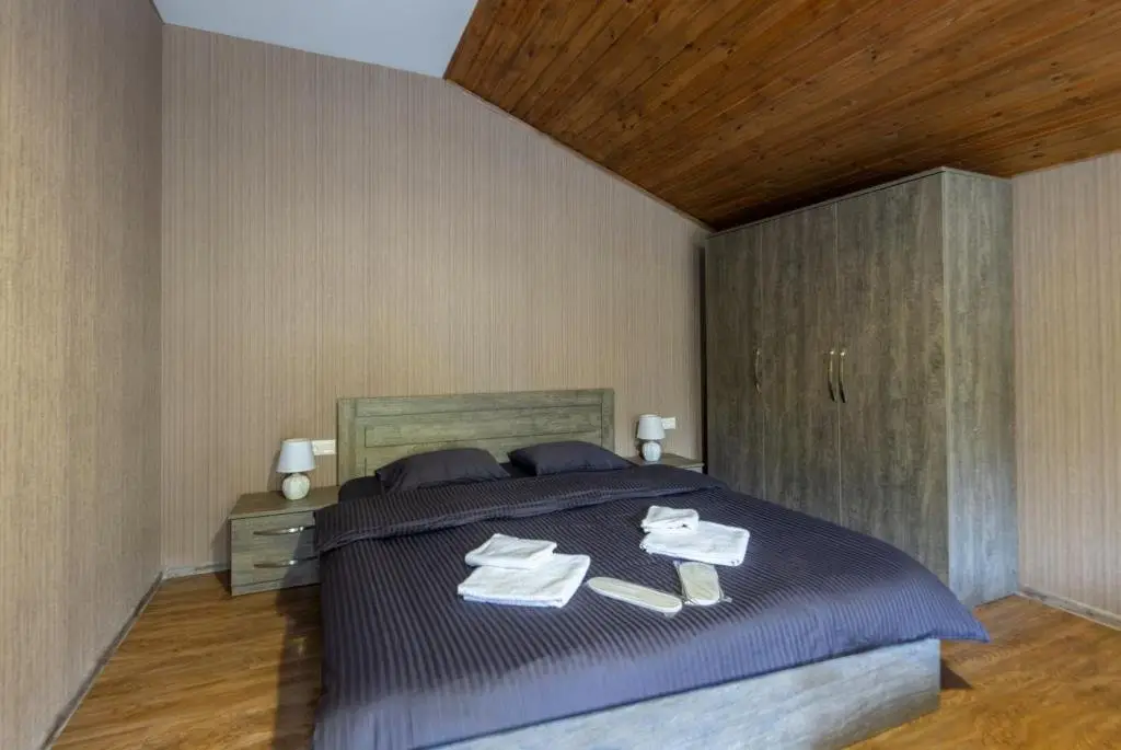 Бакуриани: - Didveli Residence LUX Apartments -