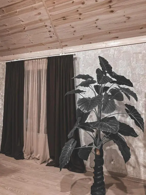 Сиони: Cottage Shina