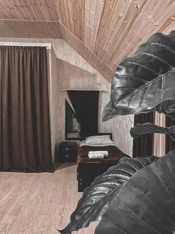 Сиони: Cottage Shina