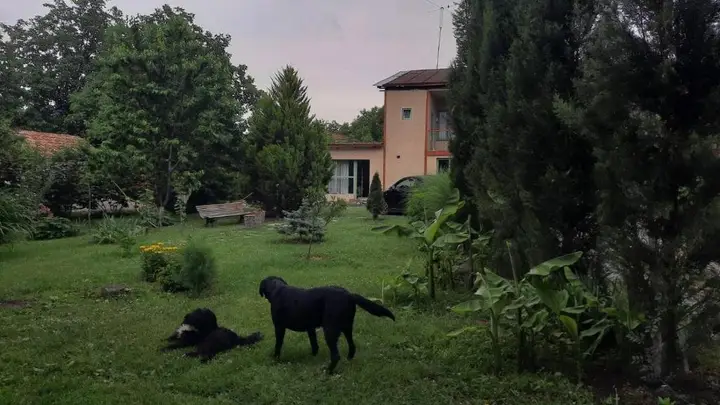 Телави: Green House