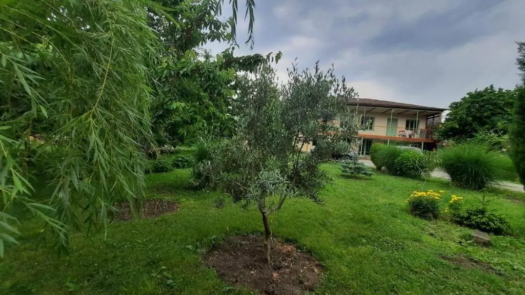 Телави: Green House