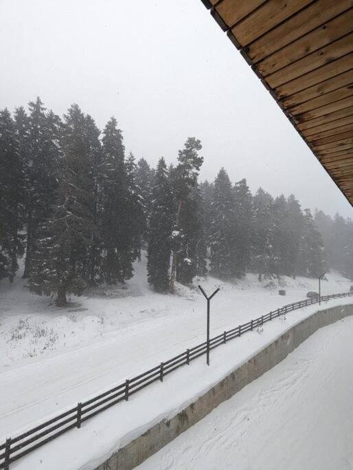 Бакуриани: Bakuriani, Kokhta Mitarbi Resort B1