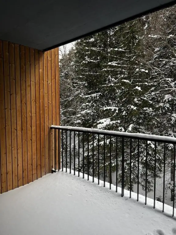 Бакуриани: Apartment 216 with Terrace at Kokhta Ski, Bakuriani