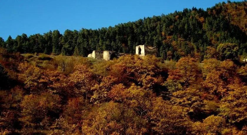 Боржоми: Guest House Tower