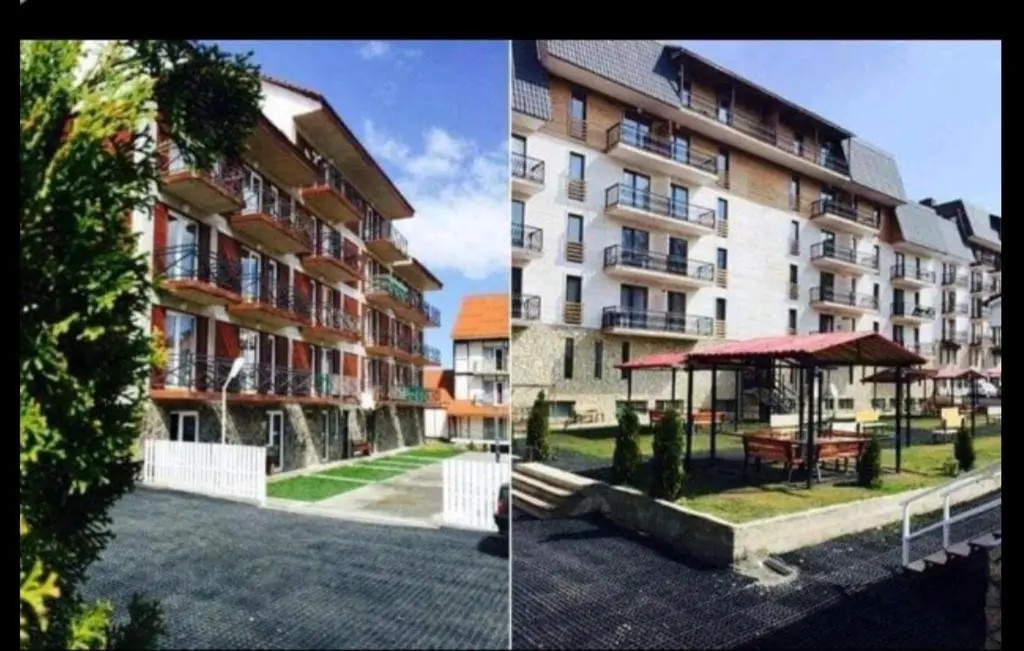 Бакуриани: Hotel Mgzavrebi in Bakuriani apartment