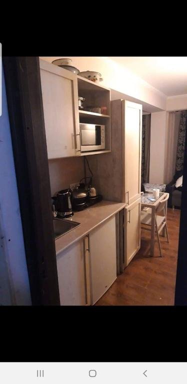 Бакуриани: Hotel Mgzavrebi in Bakuriani apartment