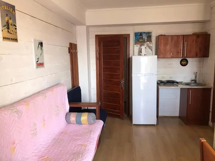 Бакуриани: Modern Apartment in Mgzavrebi