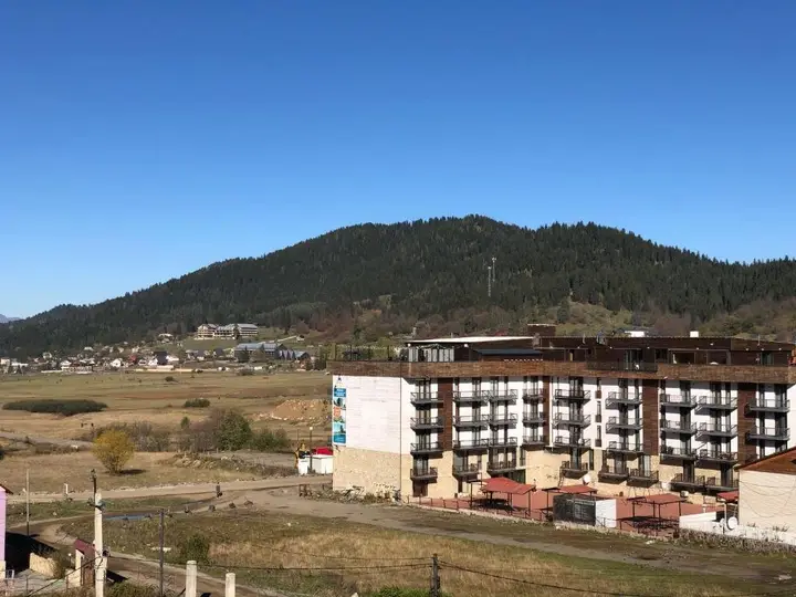 Бакуриани: Modern Apartment in Mgzavrebi
