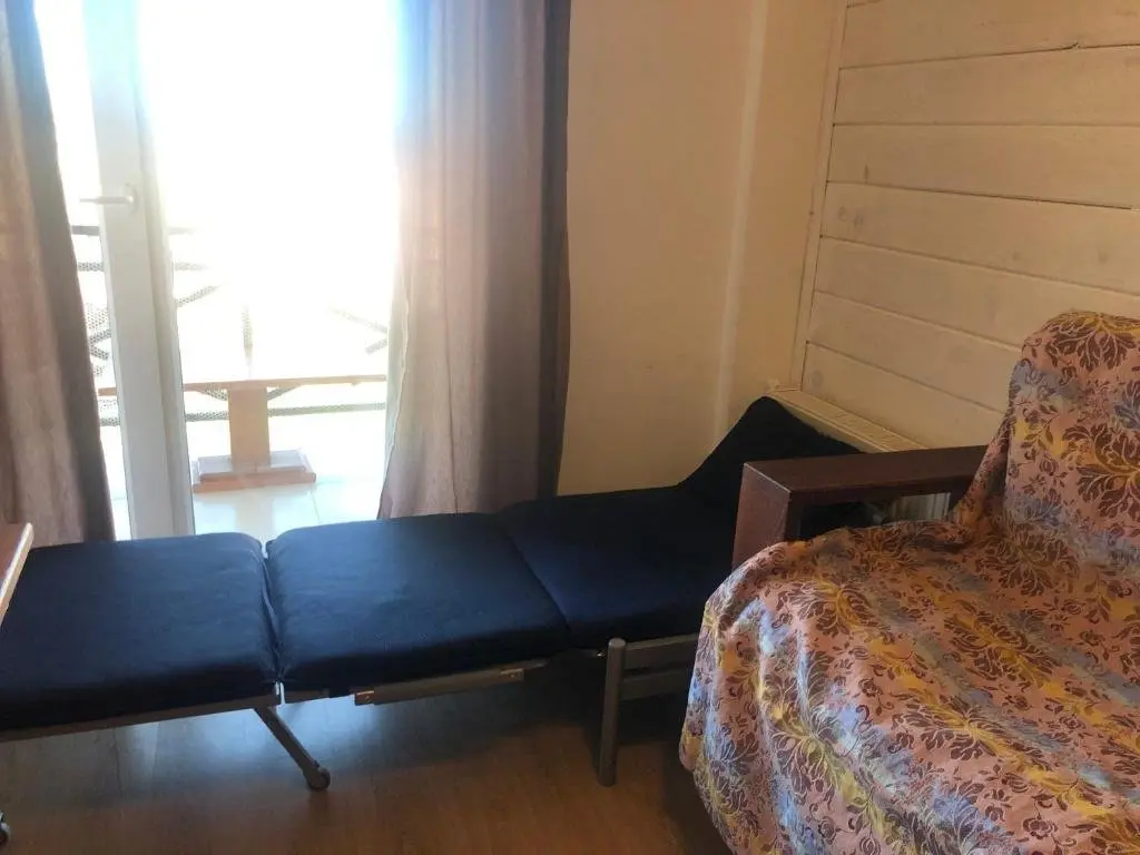 Бакуриани: Modern Apartment in Mgzavrebi