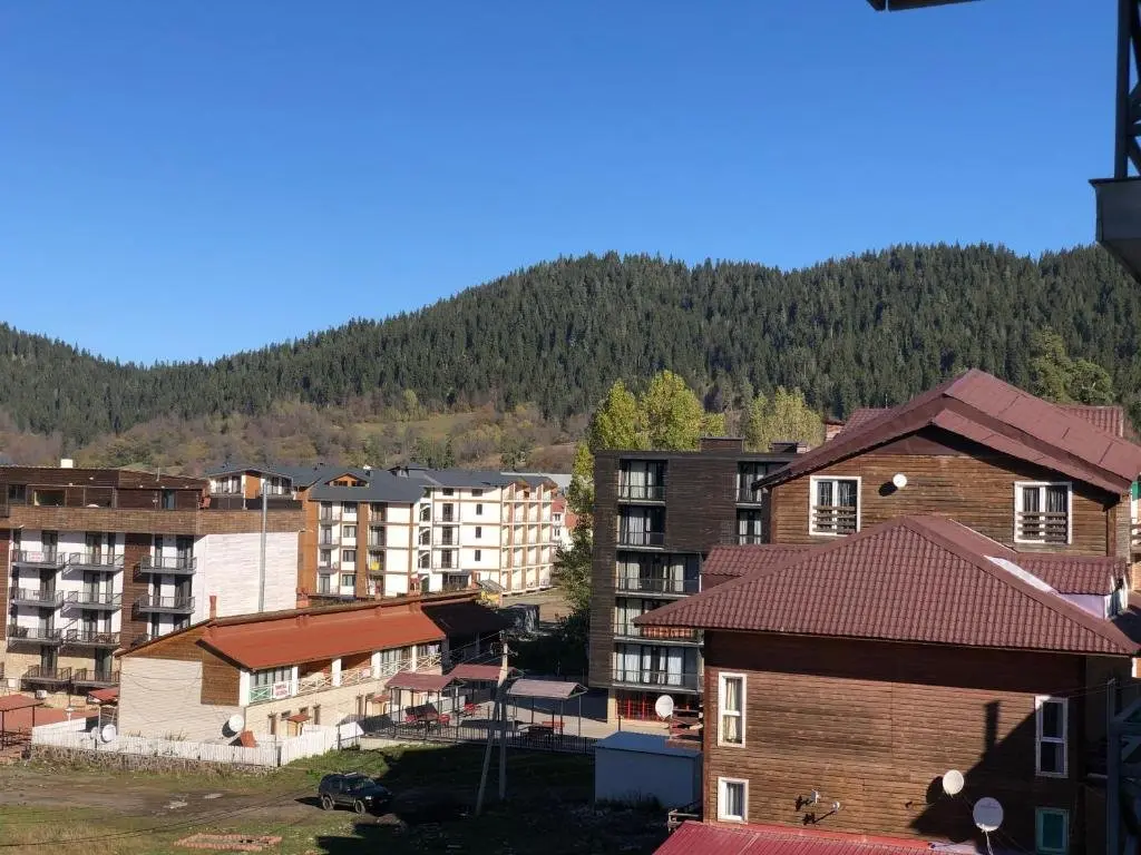 Бакуриани: Modern Apartment in Mgzavrebi