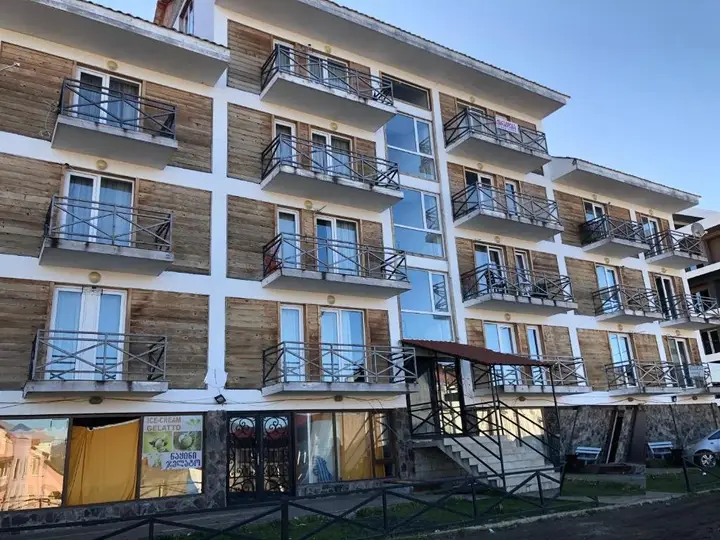 Бакуриани: Modern Apartment in Mgzavrebi