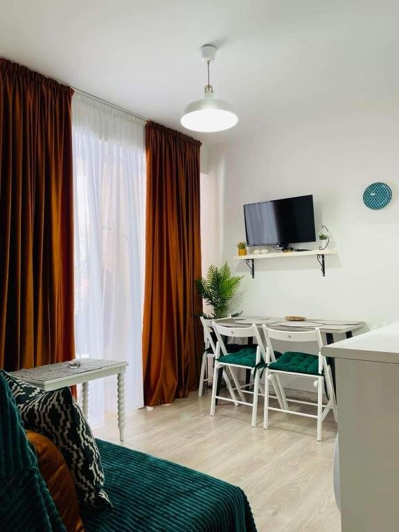 Бакуриани: bakuriani didveli apartment