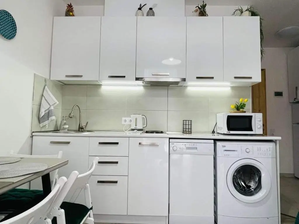Бакуриани: bakuriani didveli apartment