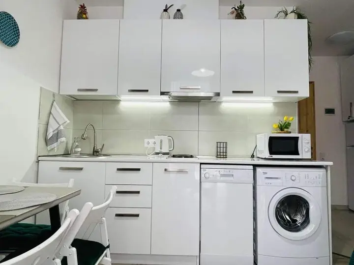 Бакуриани: bakuriani didveli apartment