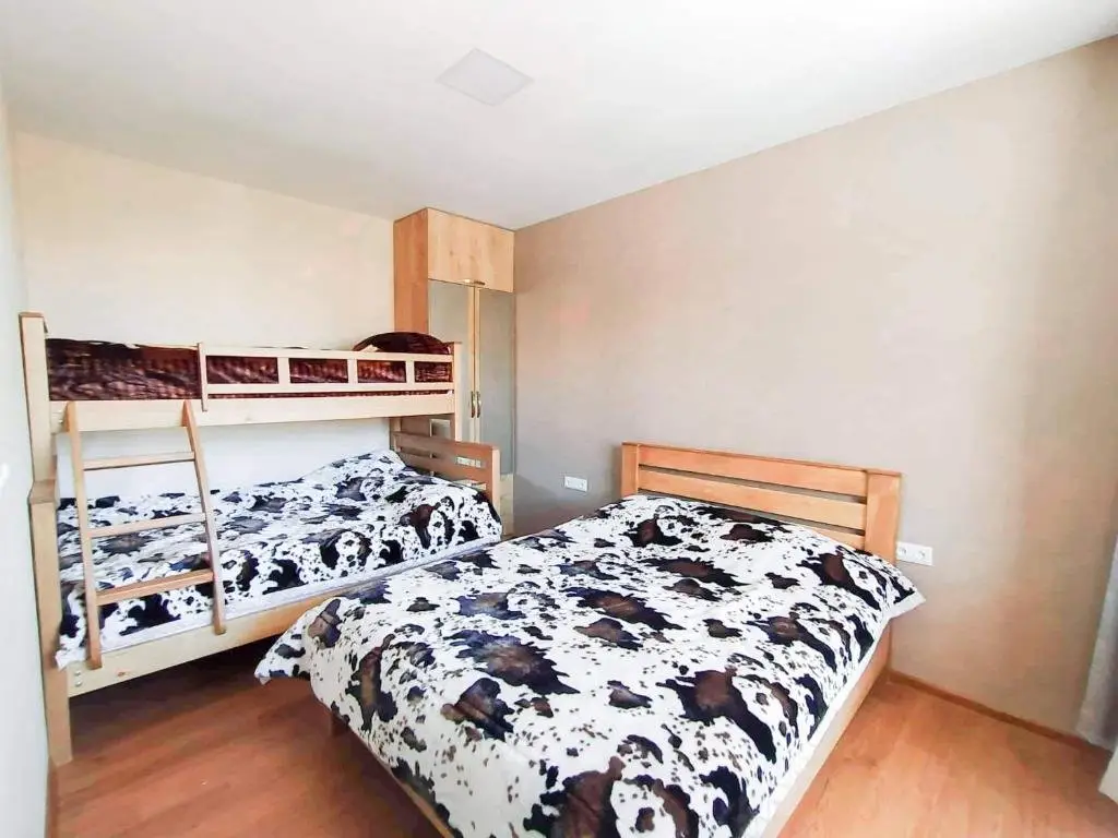 Бакуриани: Bakuriani Didveli Residence F block