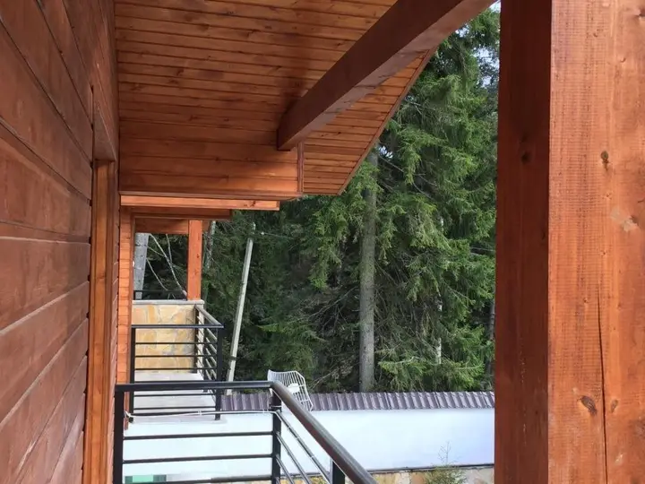 Бакуриани: Chalet Kokhta