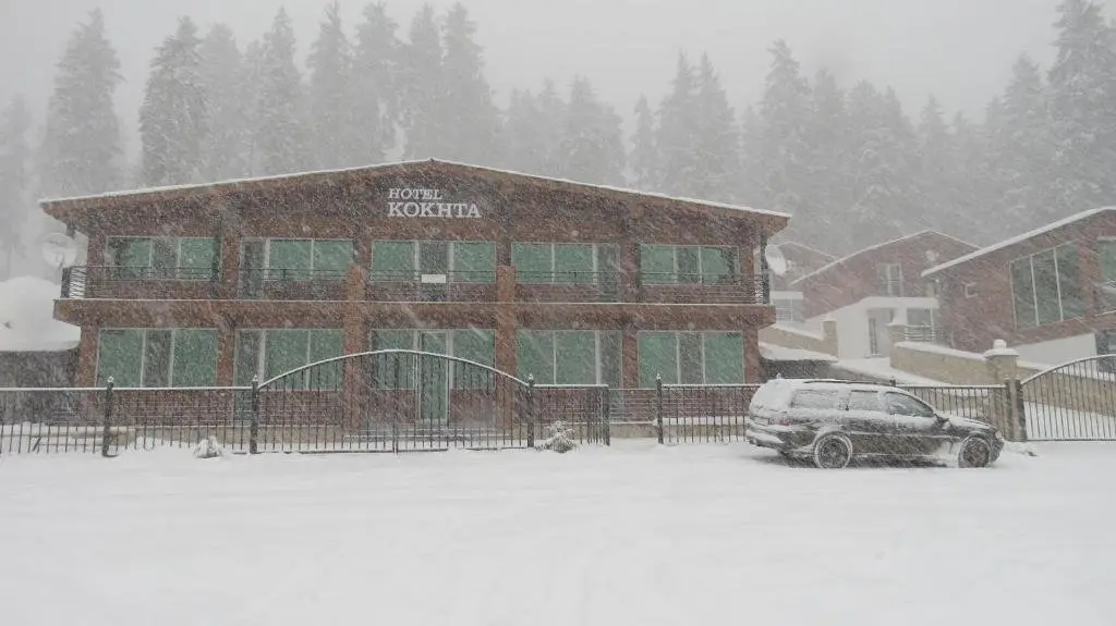 Бакуриани: Chalet Kokhta