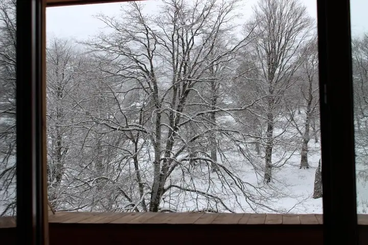 Бакуриани: Bakuriani Valley